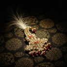 Soft Golden Spotlight Angle 4